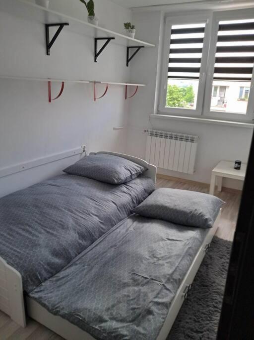 Apartament Na 4 Pietrze Nowy Targ Exterior photo